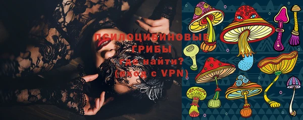 герыч Бородино