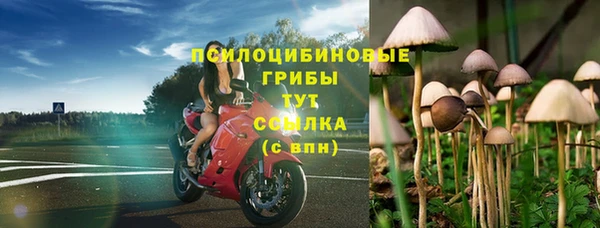 герыч Бородино