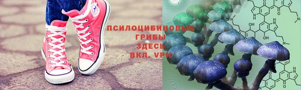 герыч Бородино