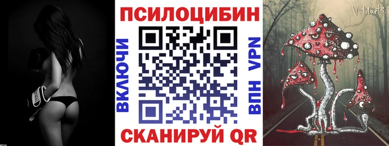 Галлюциногенные грибы MAGIC MUSHROOMS  закладки  Давлеканово 